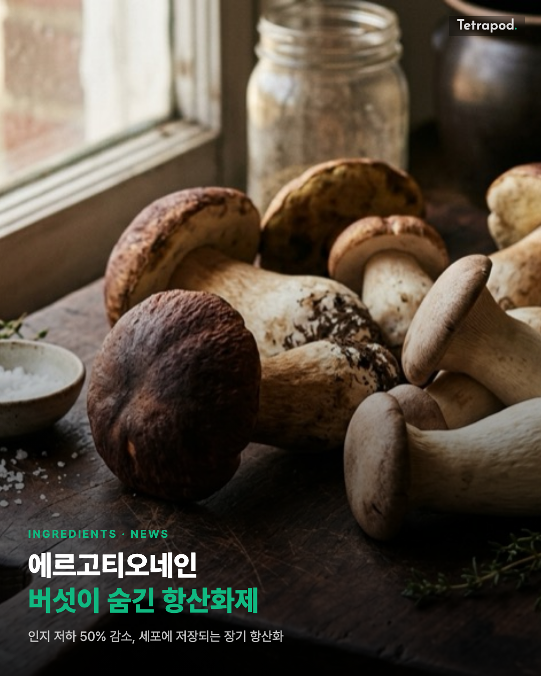 에르고티오네인, 버섯이 숨긴 항산화제