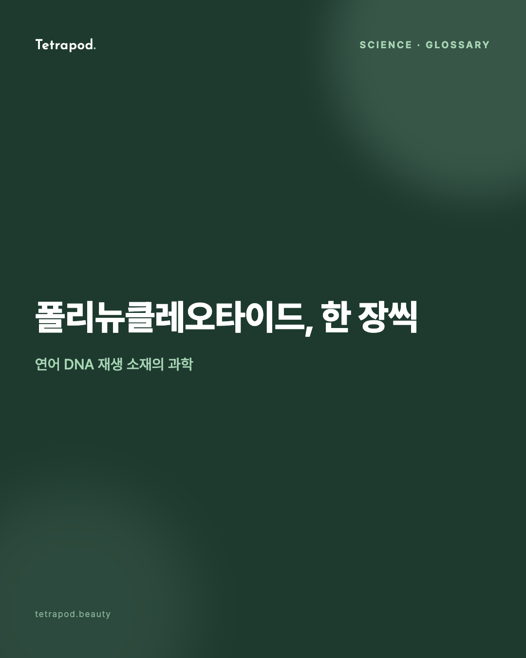 폴리뉴클레오타이드, 한 장씩