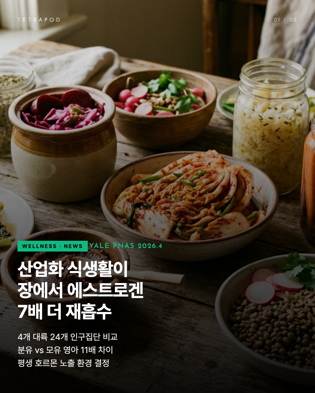 Yale 마이크로바이옴 — 산업화 식생활이 에스트로겐 7배 재흡수. 호르몬 환경 설계자