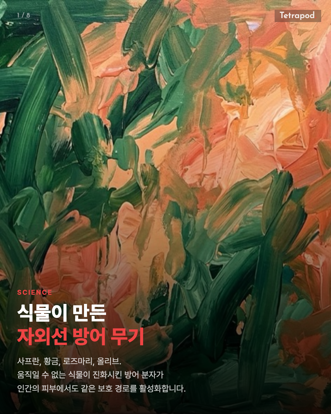 식물이 만든 자외선 방어 무기