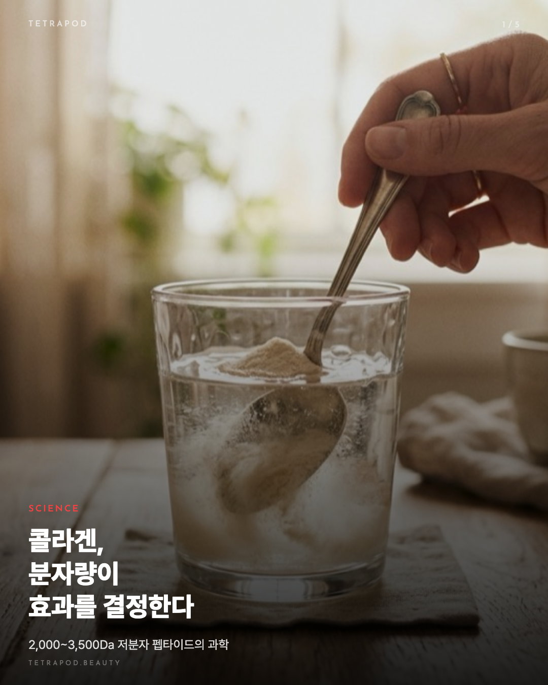 콜라겐 펩타이드, 분자량이 흡수율을 결정한다