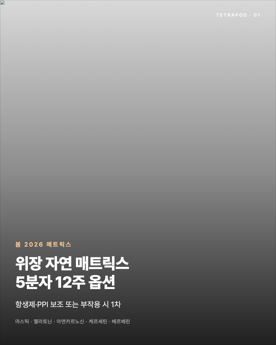 위장 자연 매트릭스, 봄 2026 — 마스틱·멜라토닌·아연카르노신·케르세틴·베르베린 5분자 8장