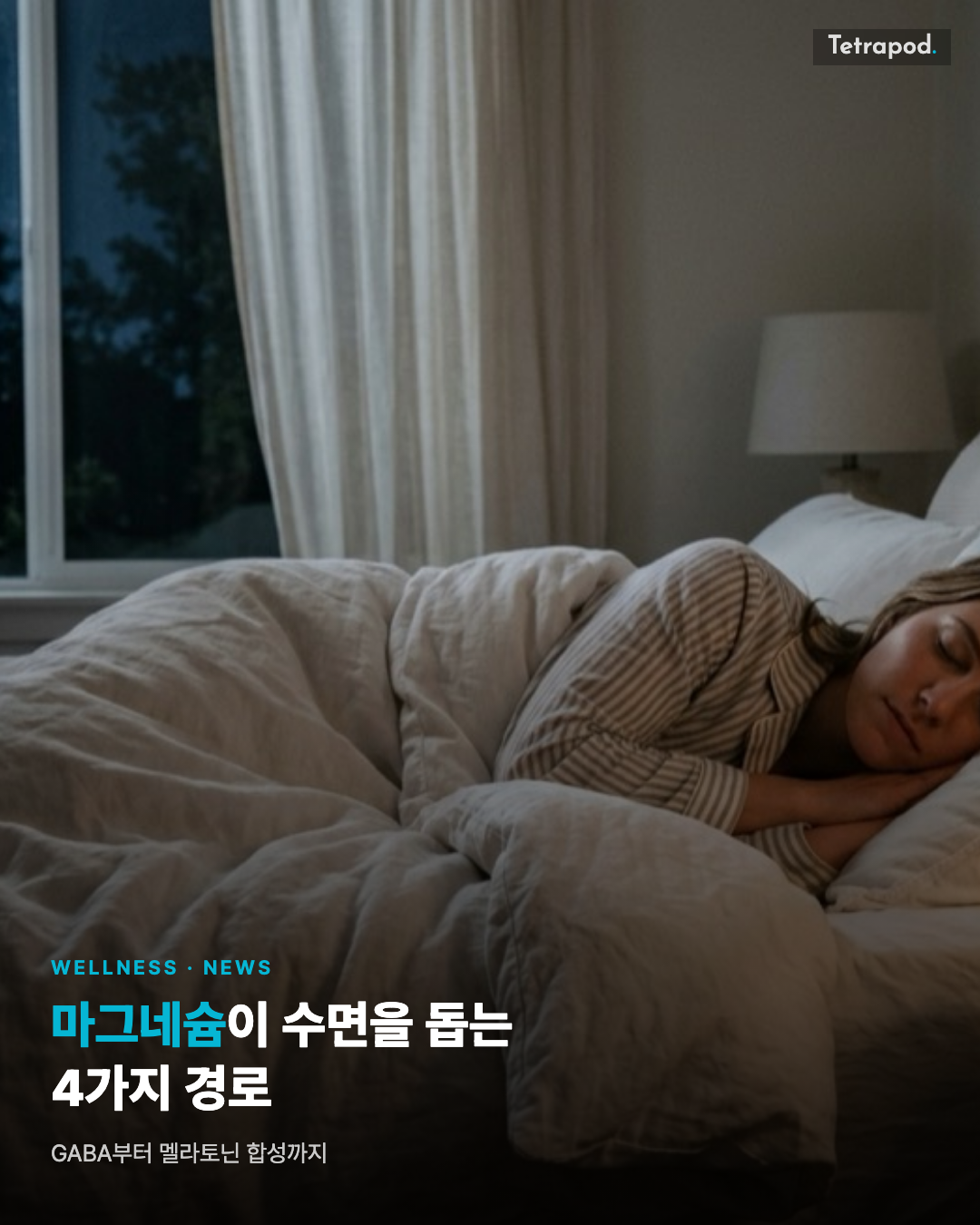 마그네슘이 수면을 돕는 4가지 경로