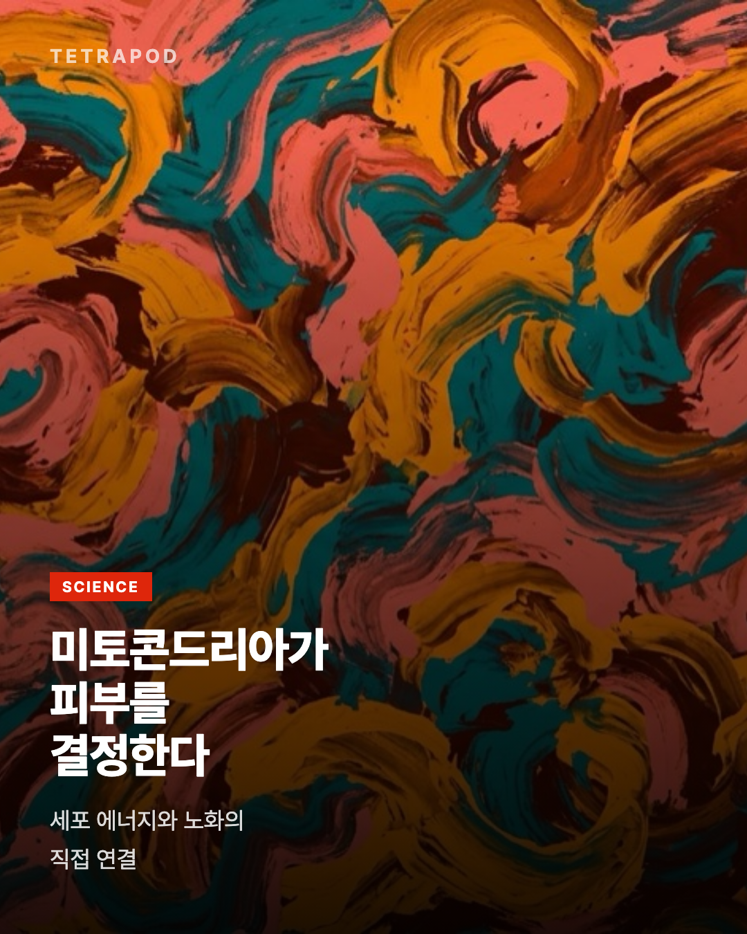 미토콘드리아와 피부 노화