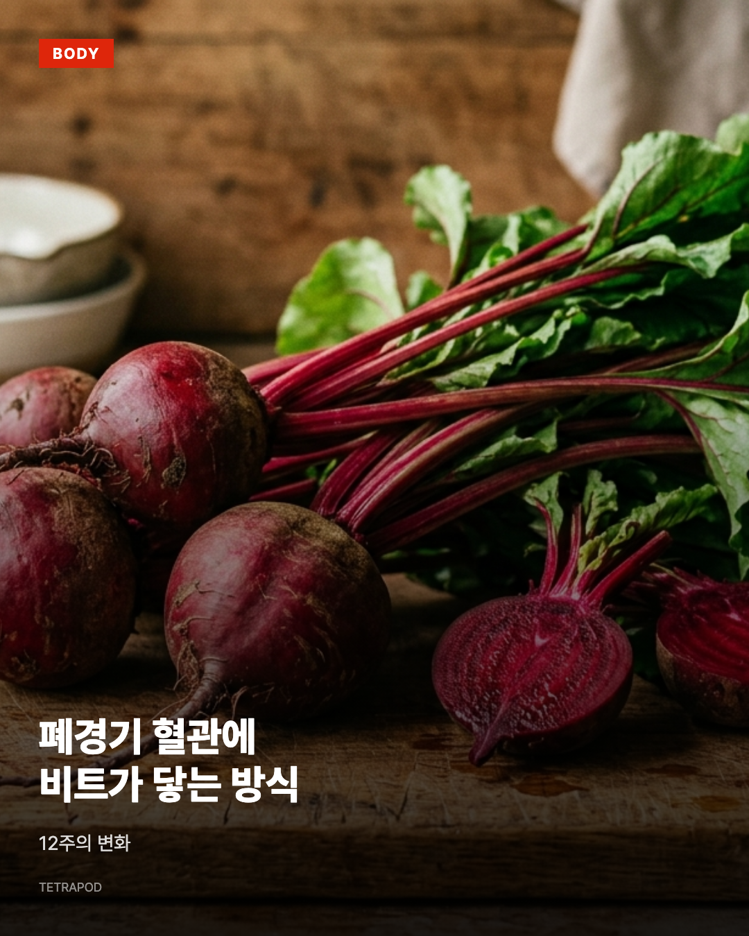 폐경기 혈관에 비트가 닿는 방식, 12주의 변화