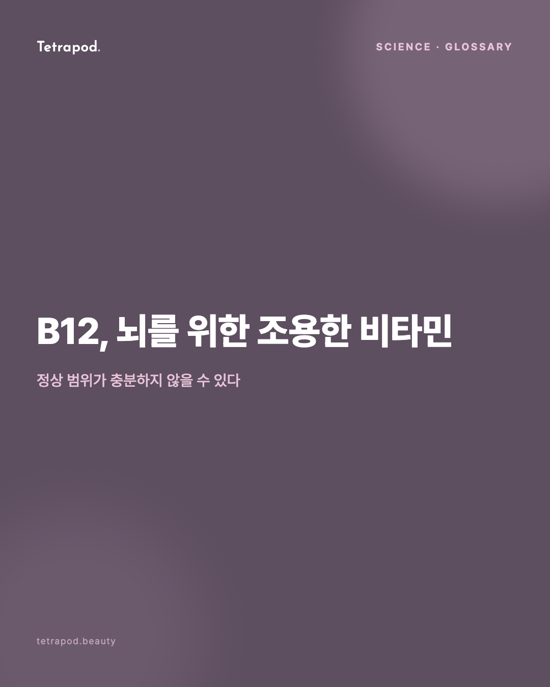 B12, 뇌를 위한 조용한 비타민