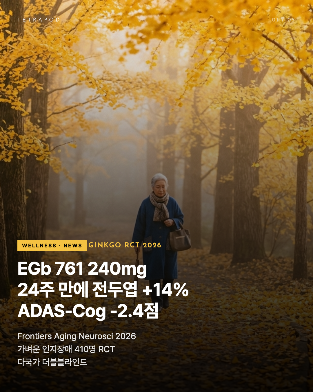 EGb 761 240mg — 24주 전두엽 +14% ADAS-Cog -2.4점