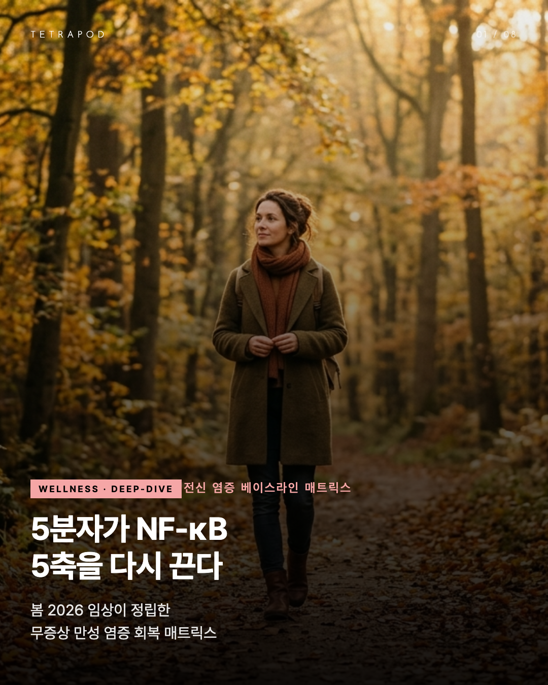 전신 염증 베이스라인 매트릭스 — 5분자가 NF-κB 5축을 다시 끈다