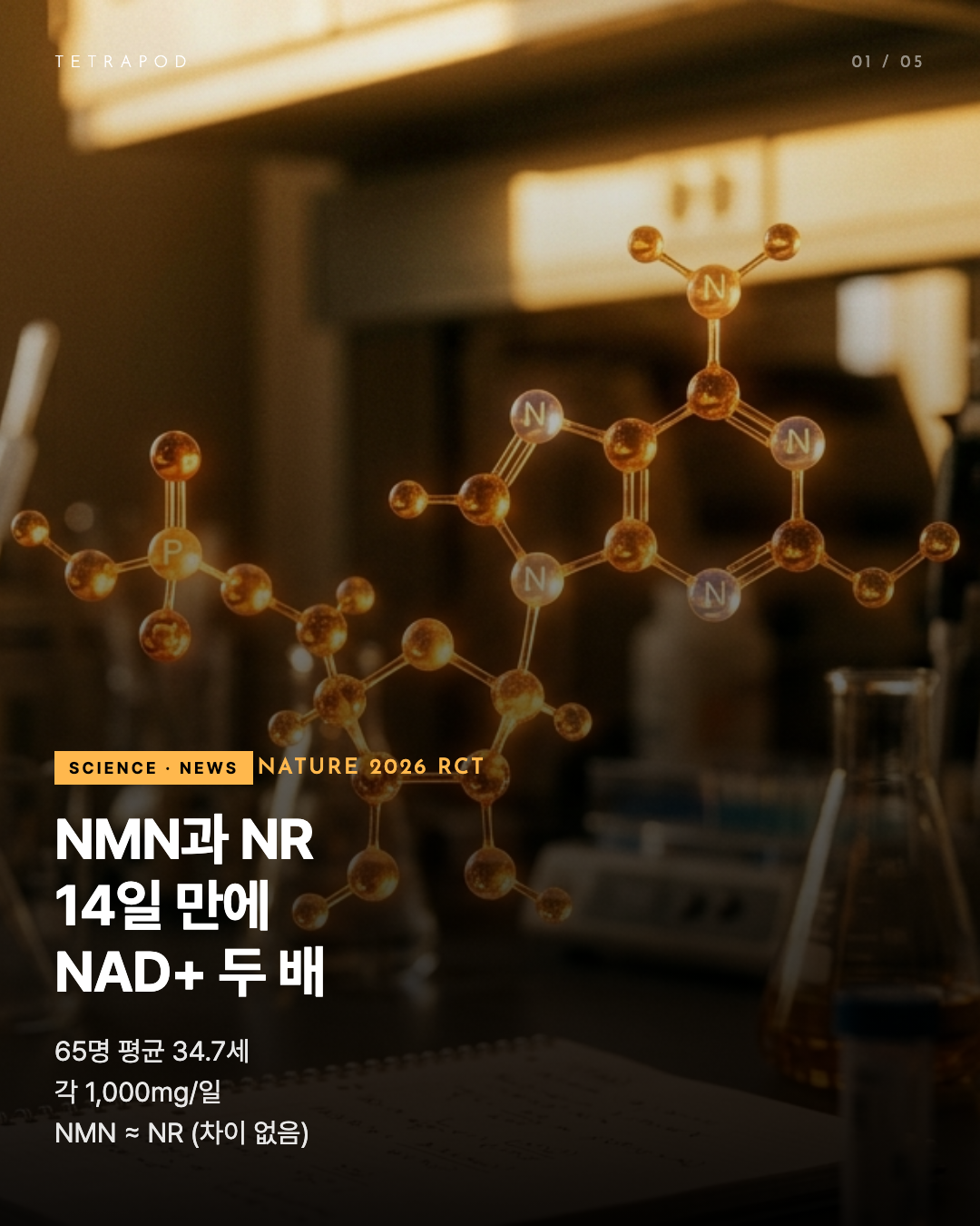 NMN vs NR 결정 가이드, Nature 2026이 정리한 NAD+ 부스터의 진짜 차이 — 5장
