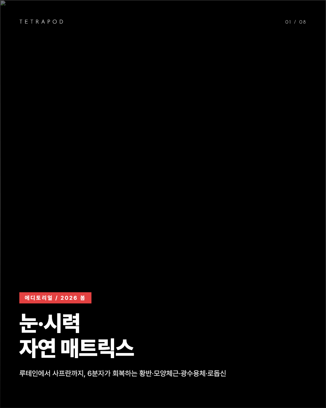 눈·시력 자연 매트릭스, 봄 2026 — 루테인·아스타잔틴·DHA·블랙커런트·사프란 8장