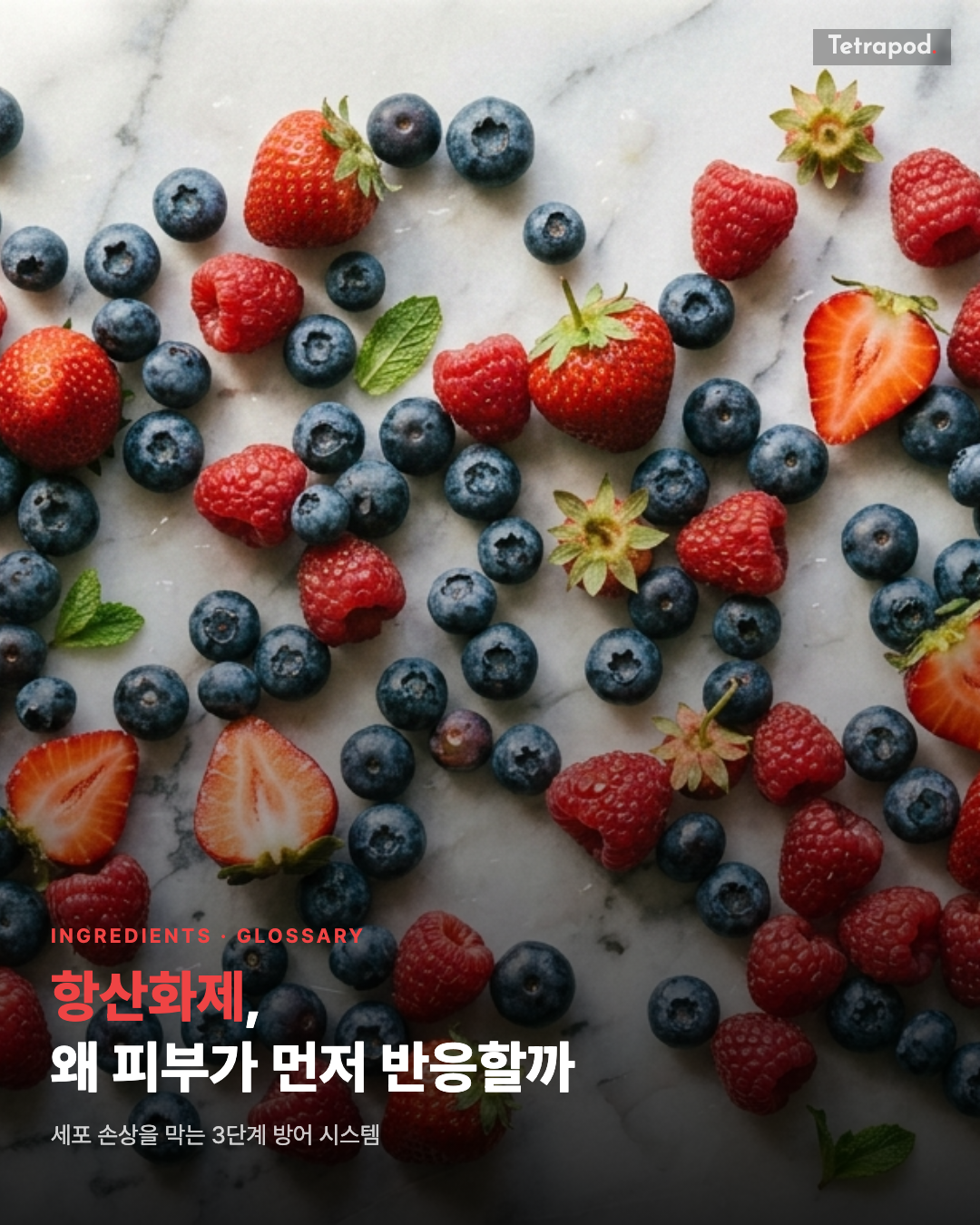 항산화제, 왜 피부가 먼저 반응할까