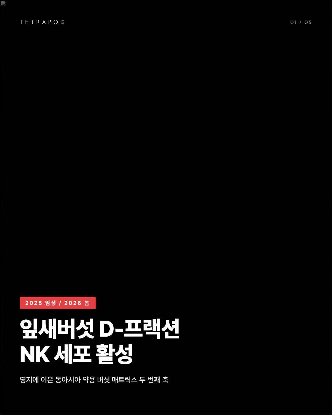 잎새버섯 D-프랙션 면역 임상, NK 세포 활성과 동아시아 약용 버섯 매트릭스