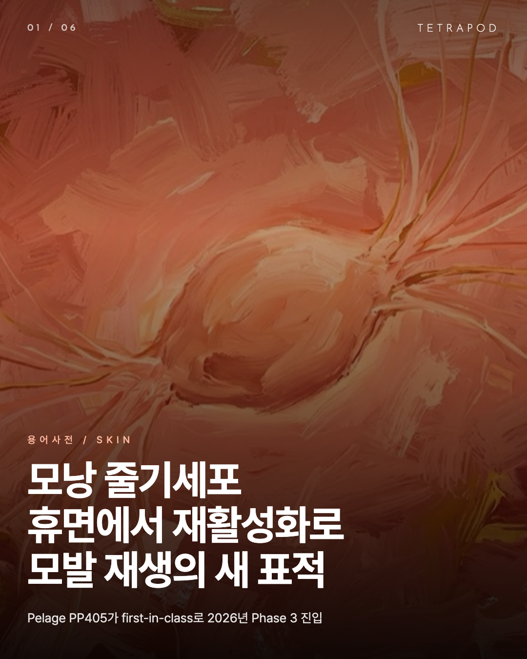 모낭 줄기세포, 휴면에서 재활성화로 모발 재생의 새 표적