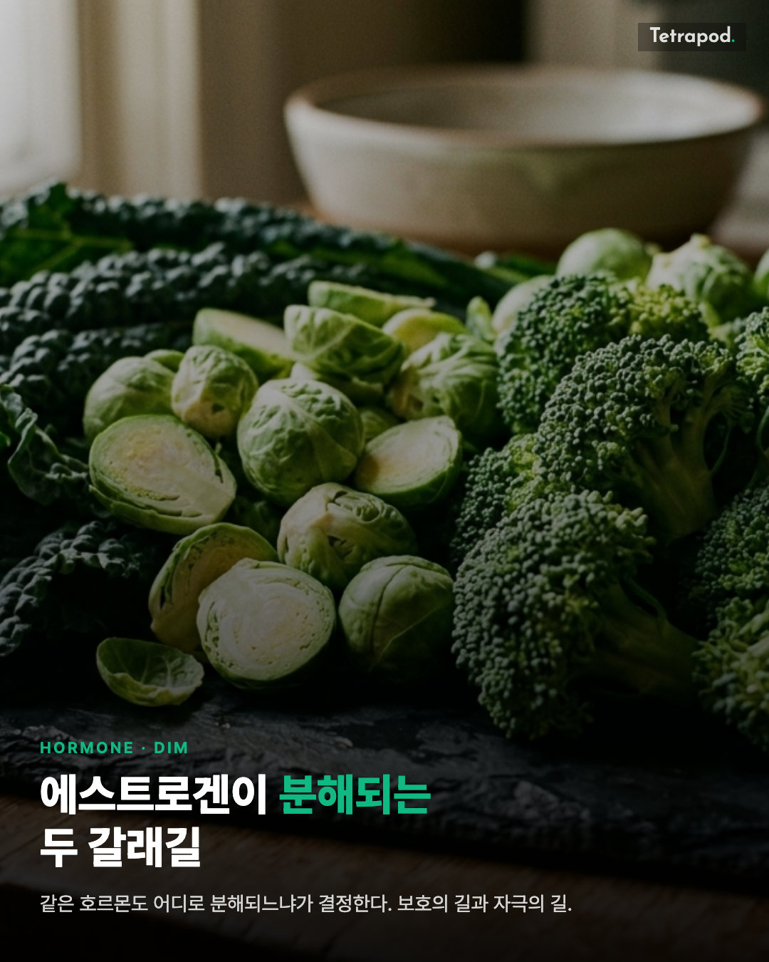 에스트로겐이 분해되는 두 갈래길, DIM이 결정하는 비율