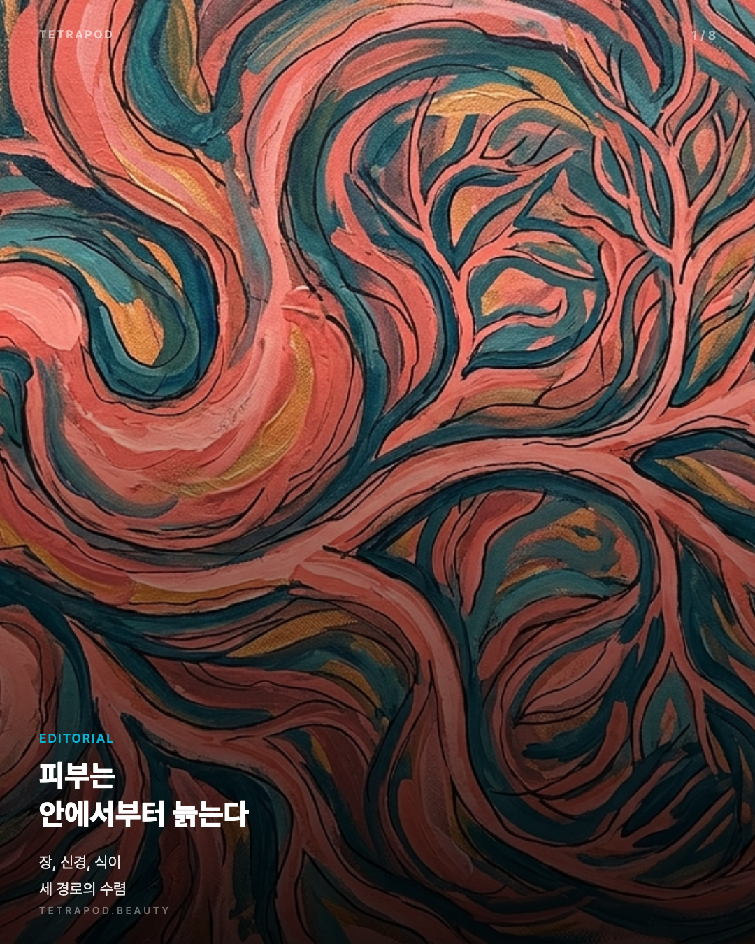 피부는 안에서부터 늙는다