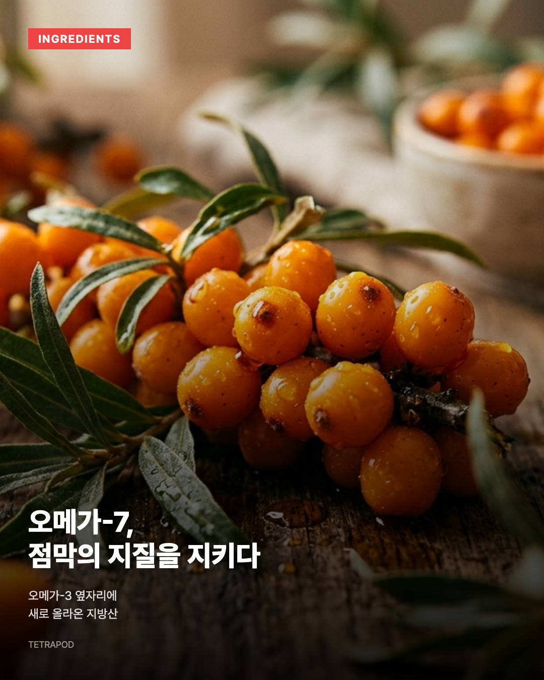 오메가-7, 점막의 지질 장벽을 지키는 지방산