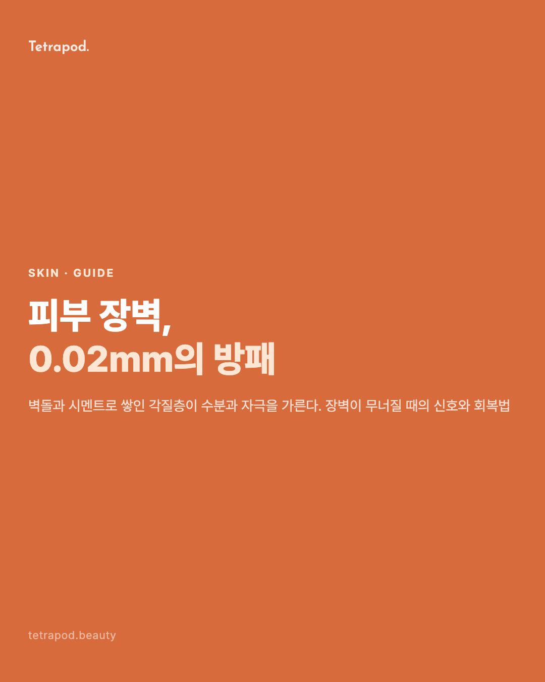 피부 장벽 가이드, 0.02mm가 하는 일