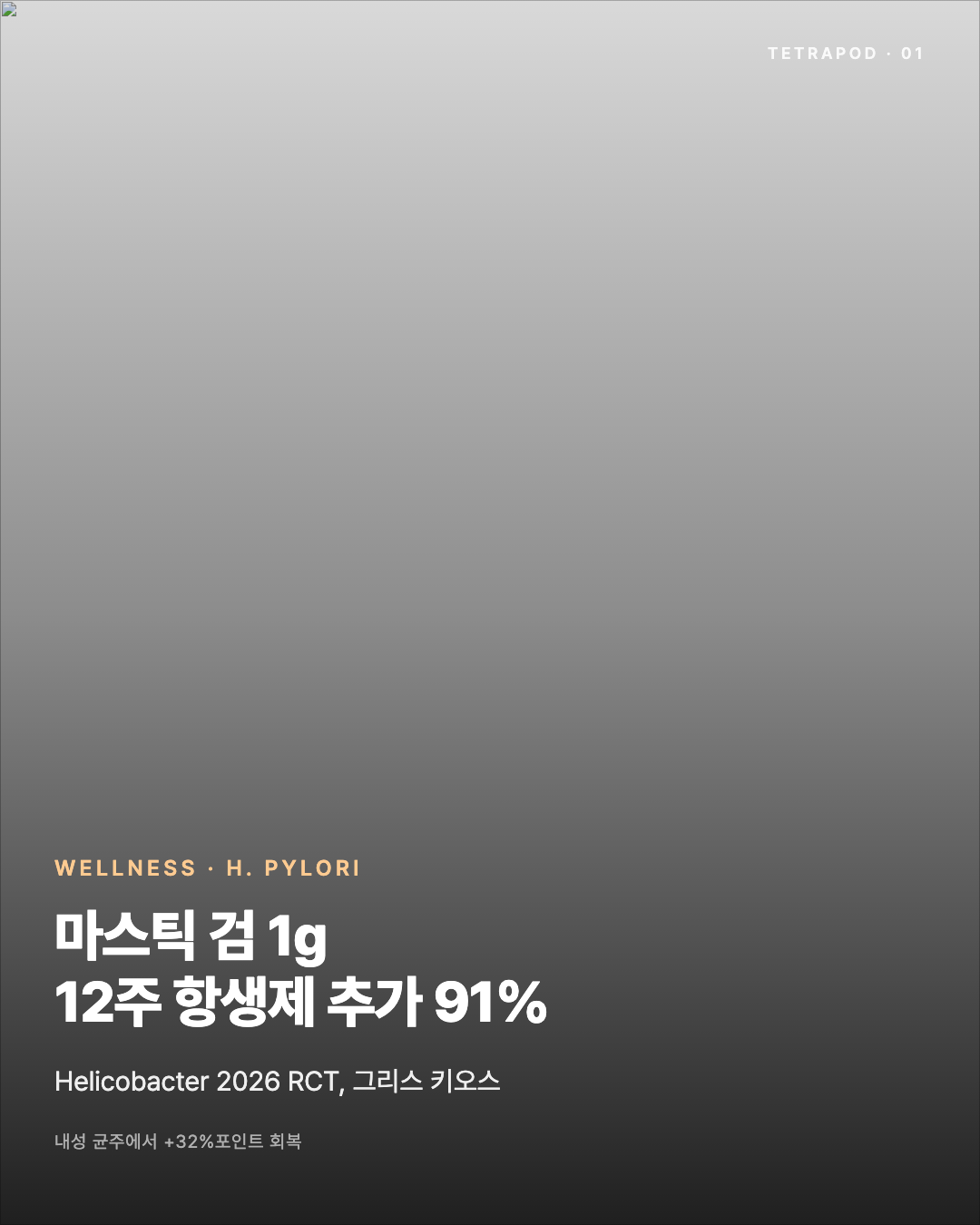 마스틱 검 1g, H. pylori 제균율 항생제 추가 시 91% — 12주 RCT 5장