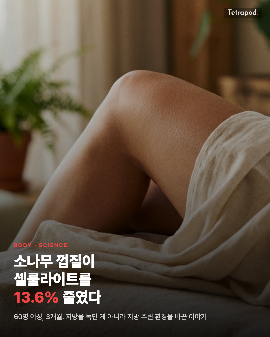 피크노제놀, 셀룰라이트를 13.6% 줄였다