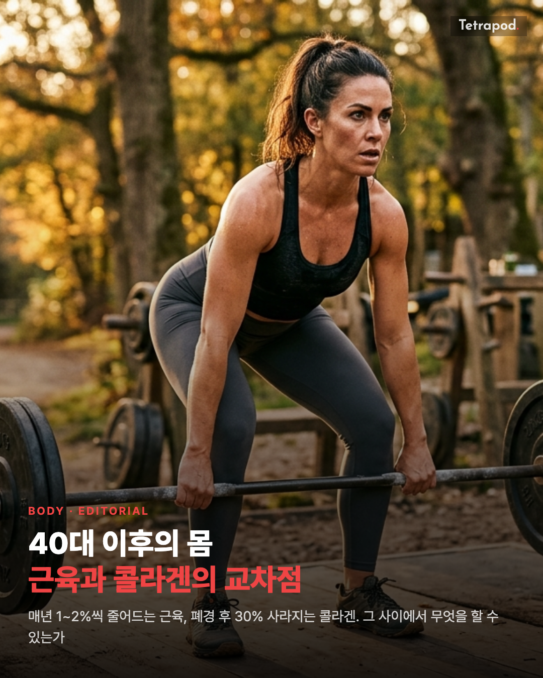 40대 이후, 근육과 콜라겐과 단백질의 교차점