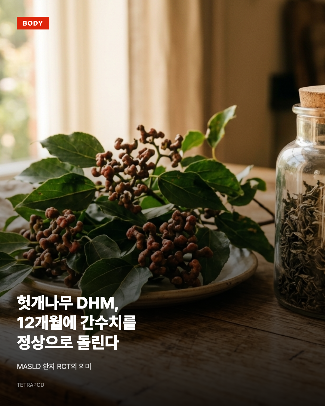 헛개나무 DHM, 12개월에 간수치를 정상으로 돌린다