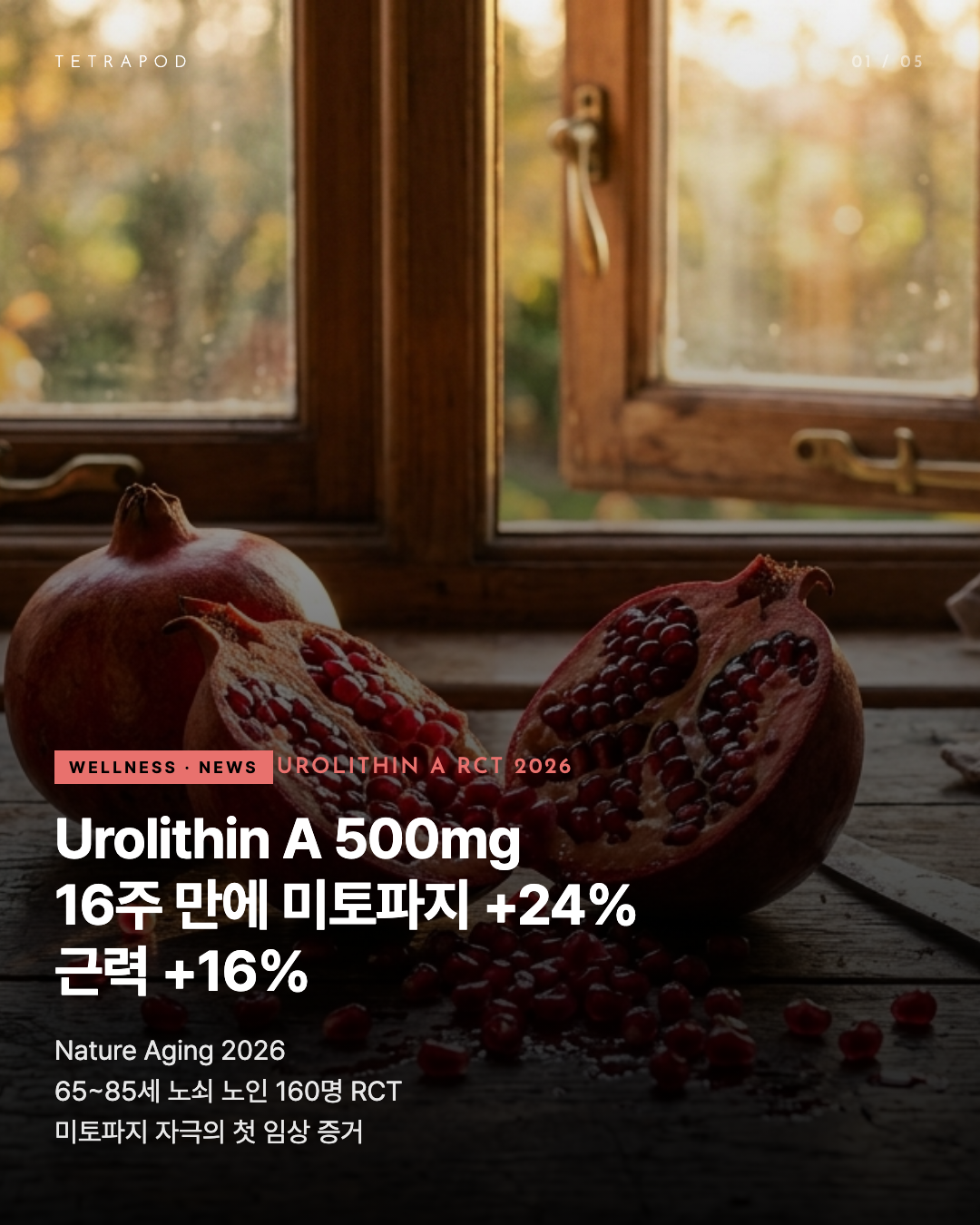 Urolithin A 500mg — 16주 미토파지 +24% 근력 +16%