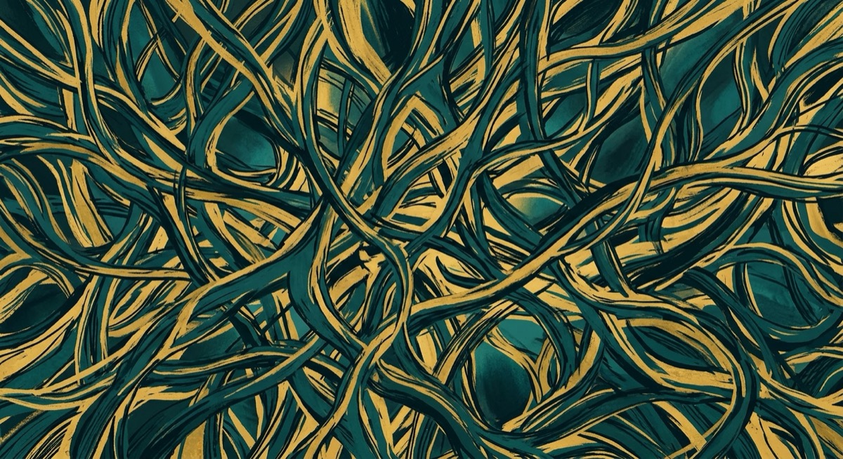 에피제네틱 스킨케어, GHK-Cu와 스퍼미딘이 유전자 발현을 재프로그래밍하는 법