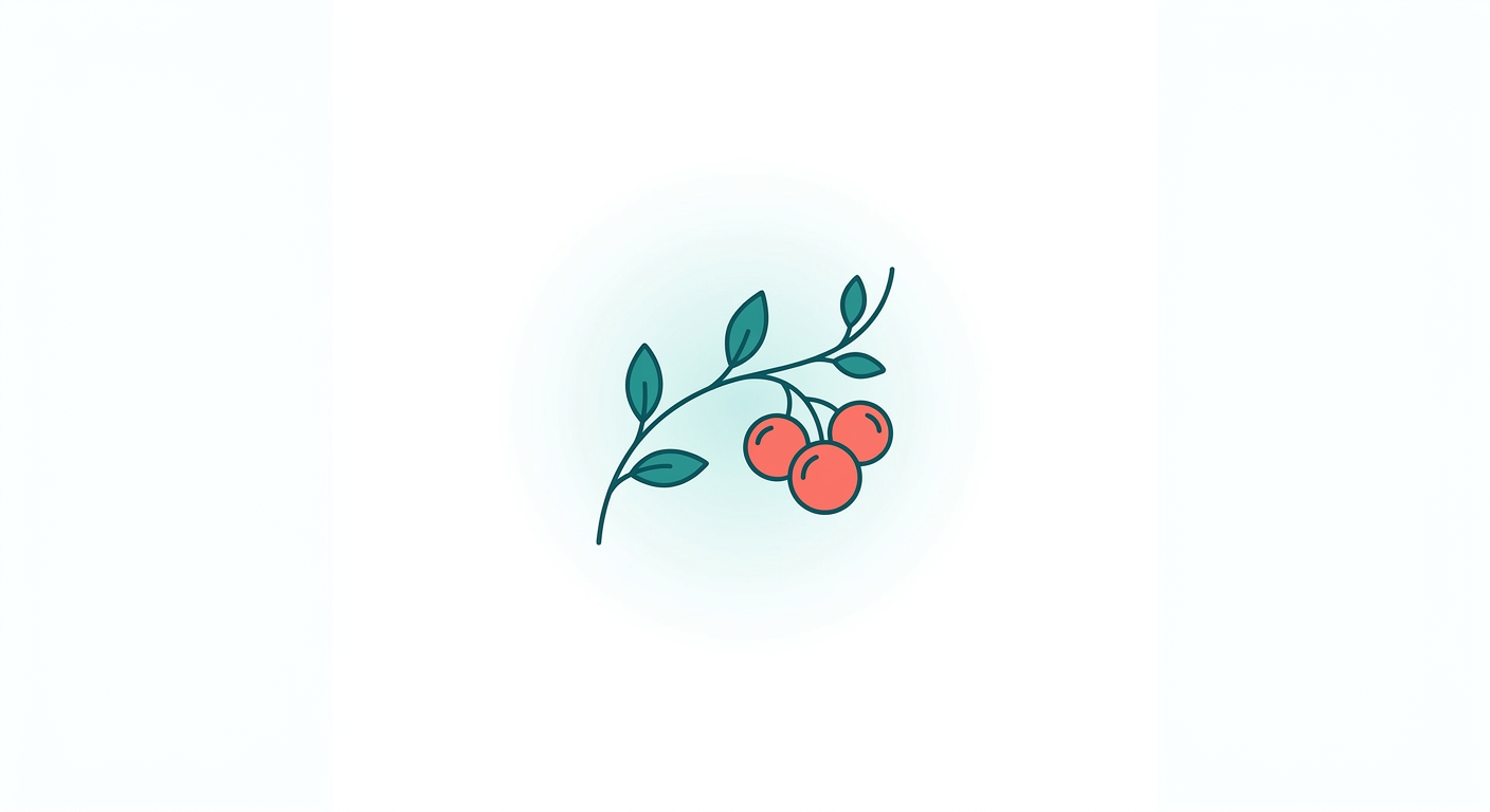 Schisandra Chinensis (五味子, Five-Flavor Fruit)