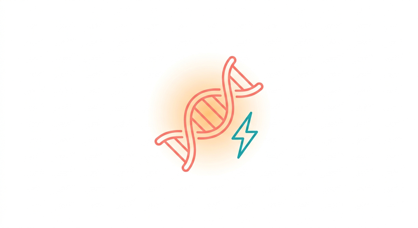 What Is NMN? The Precursor That Rebuilds Your Cellular Energy