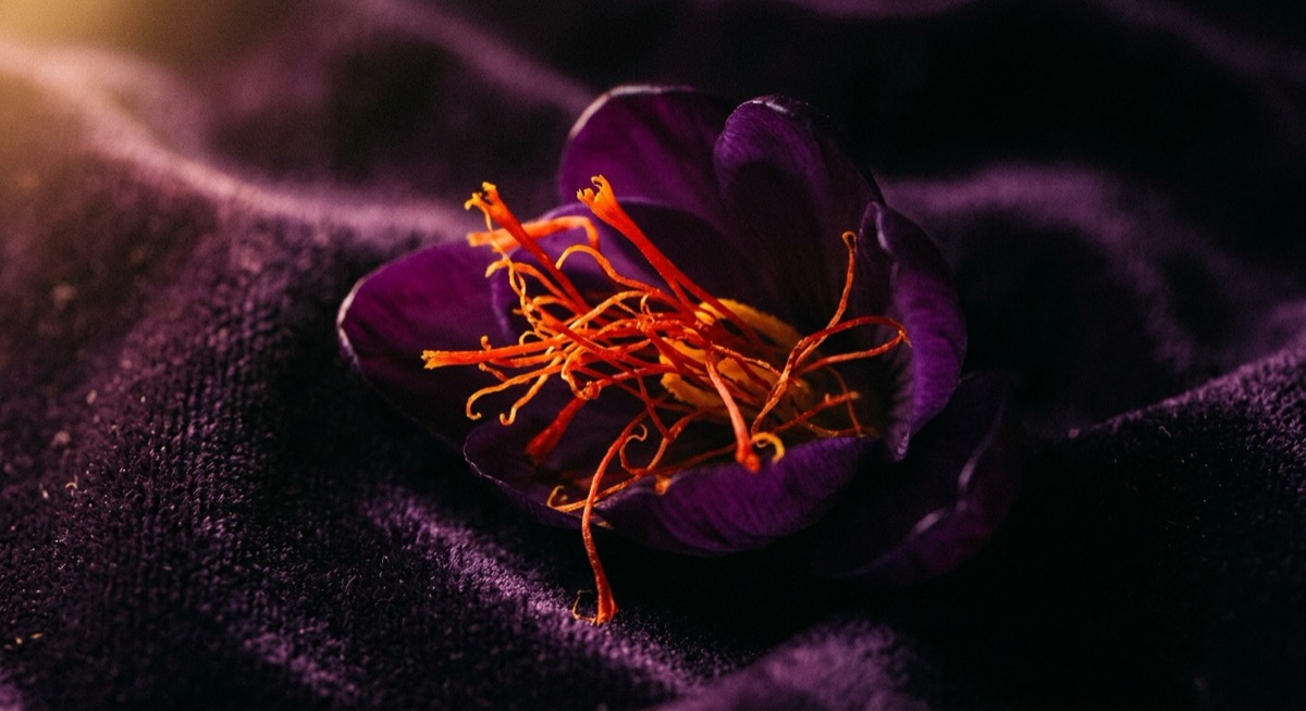 Saffron vs SSRI Meta-Analysis: Comparable Depression and Anxiety Effects with Fewer Side Effects
