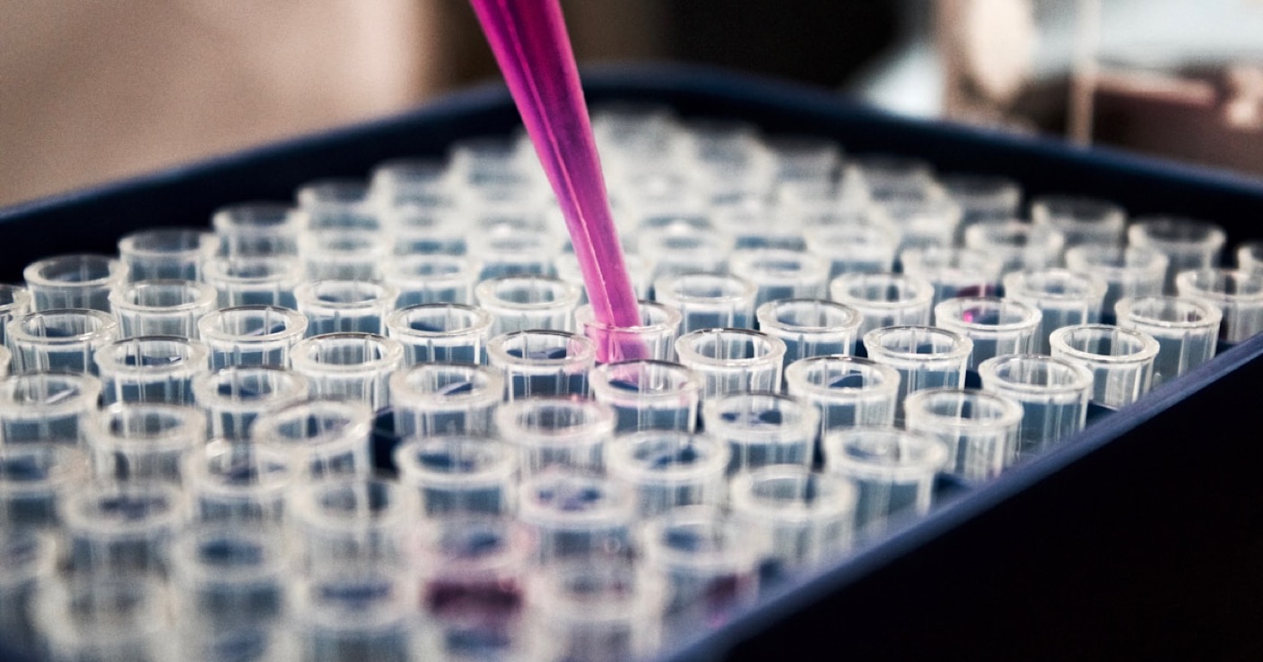 Methylene Blue Outperforms NAC and MitoQ in Skin Fibroblast Anti-Aging