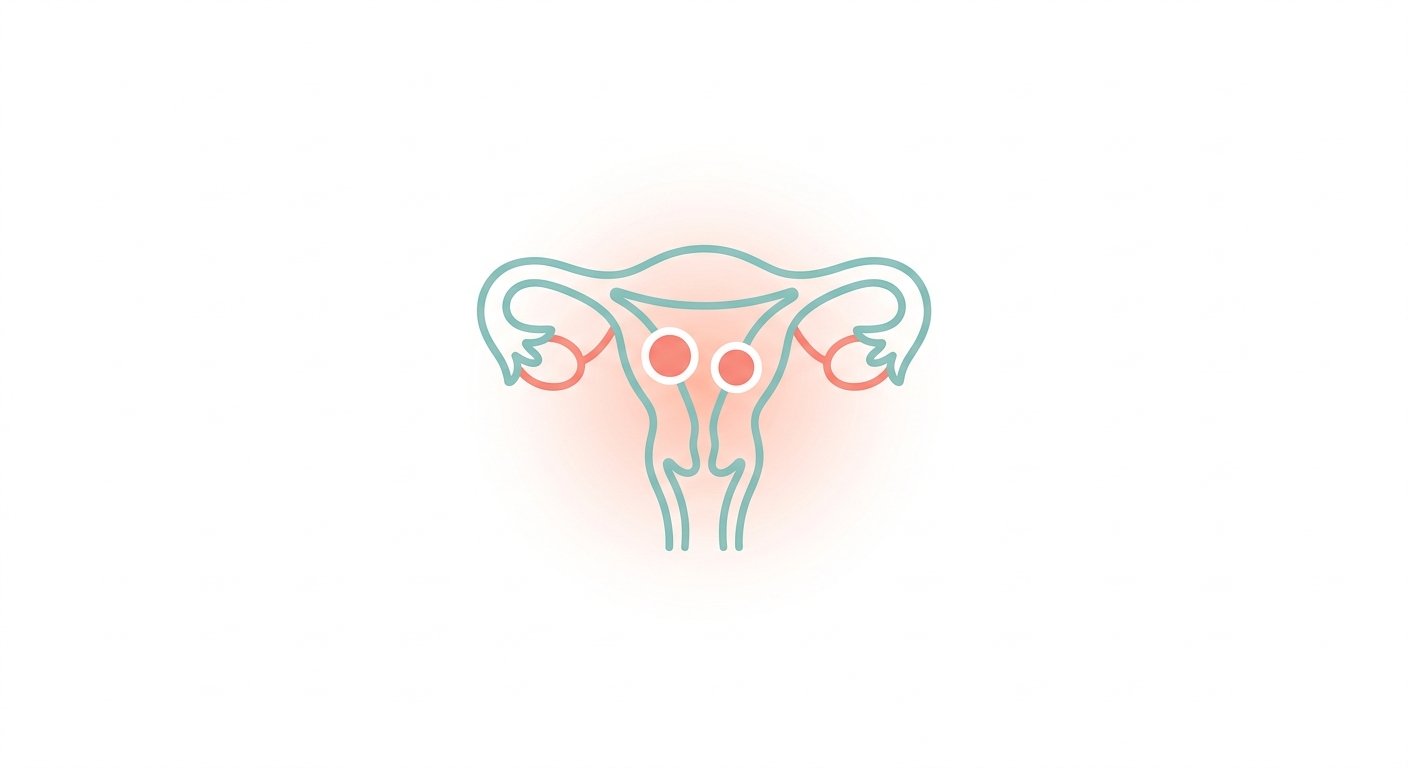 Uterine Fibroid (Leiomyoma) — A Benign Tumor Affecting 35-40% of Korean Women Aged 35-50