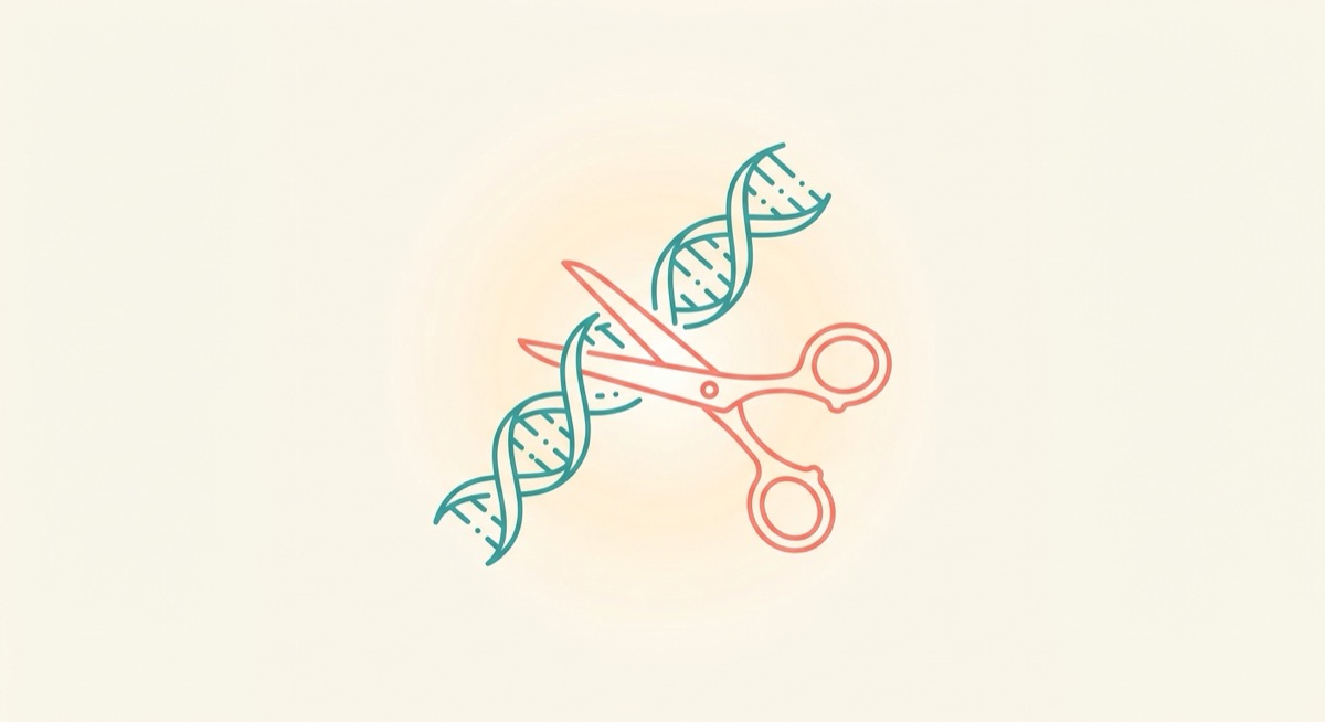 MMP, the Scissor That Cuts Collagen Under UV