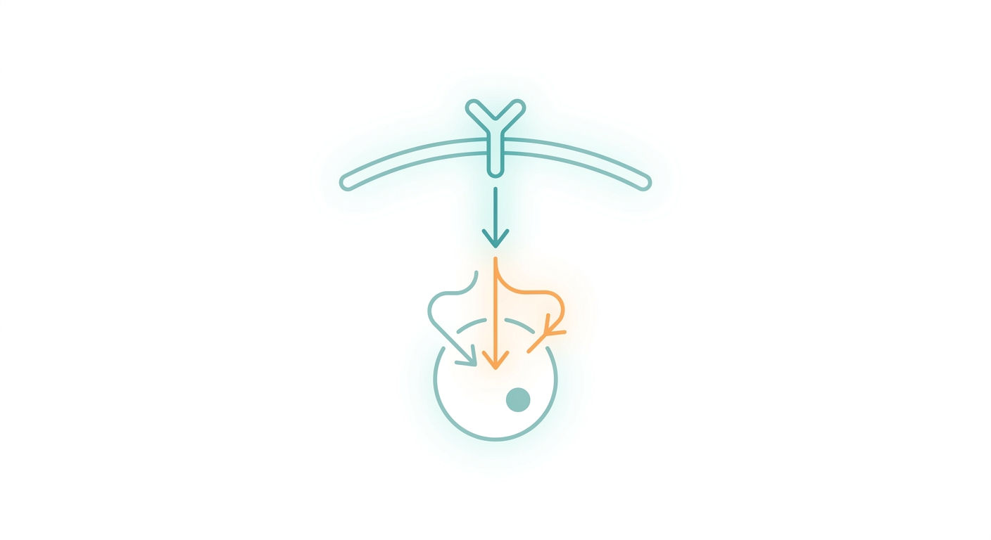 JAK-STAT Pathway: How Cytokine Signals Become Immune Disease — and How JAK Inhibitors Block Them