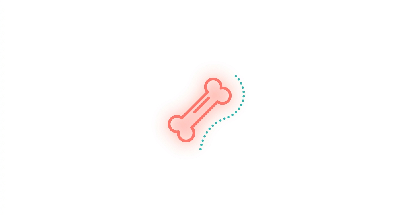 What Is Sclerostin? The Molecular Brake on Bone Formation, Targeted by Romosozumab