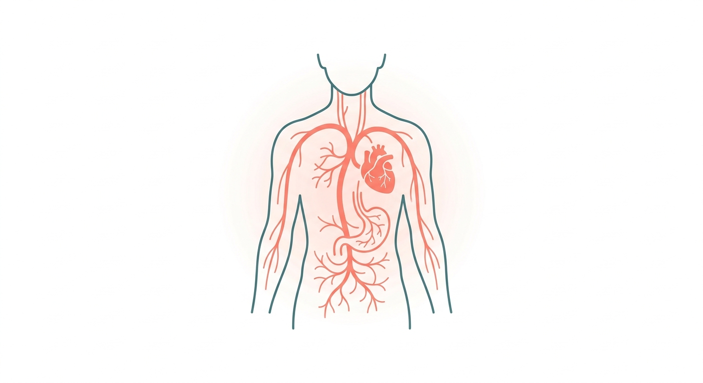 Vagus Nerve · Parasympathetic Tone — The Master Circuit of Autonomic Balance