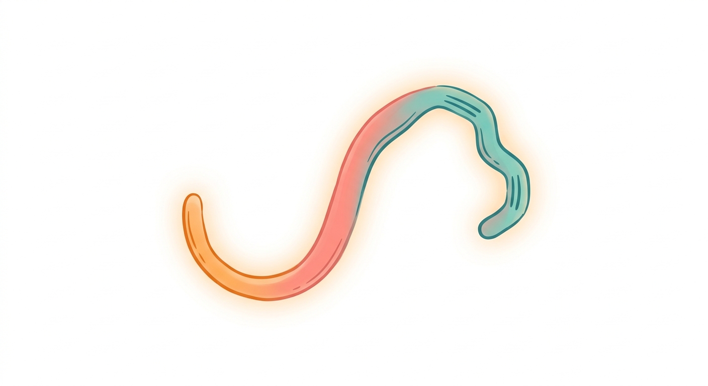 오메가-3, DHA와 EPA는 왜 구분해서 봐야 하나