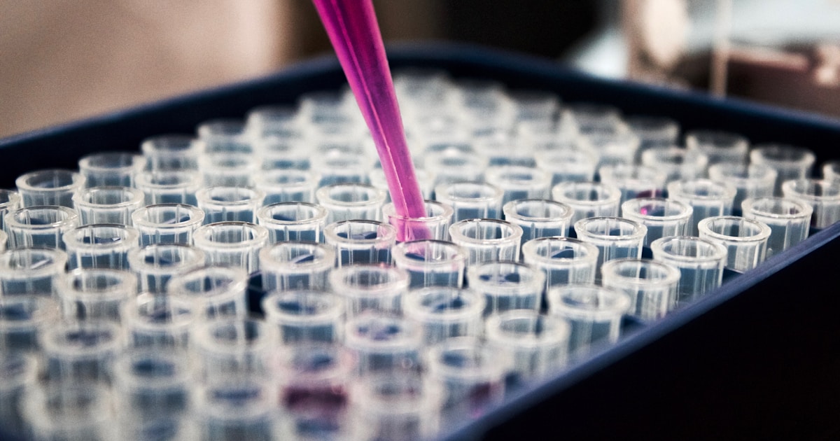 메틸렌 블루, 섬유아세포 노화를 늦추는 항산화 메커니즘