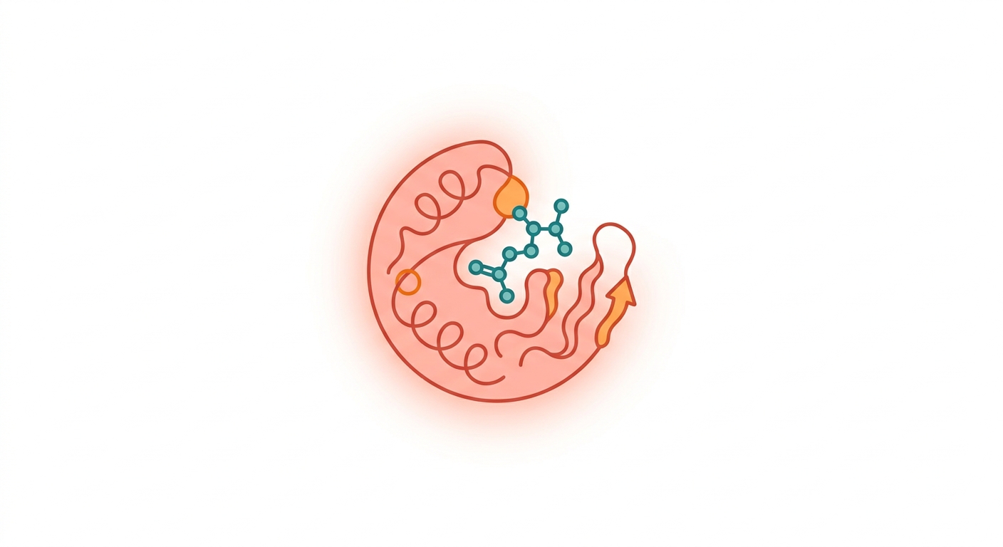 Sex Hormone-Binding Globulin (SHBG)