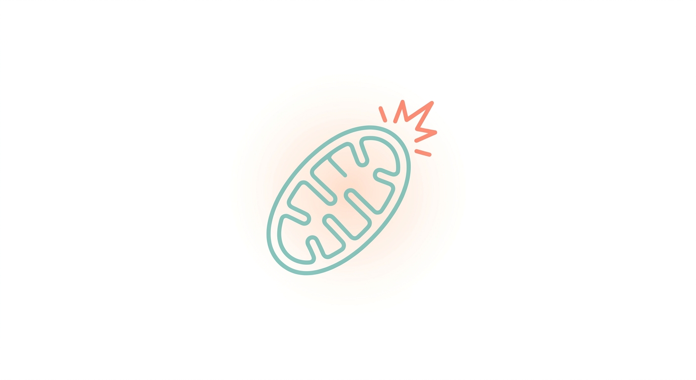 Mitochondrial Biogenesis · PGC-1α — The Master Molecule of New Cellular Energy Generation
