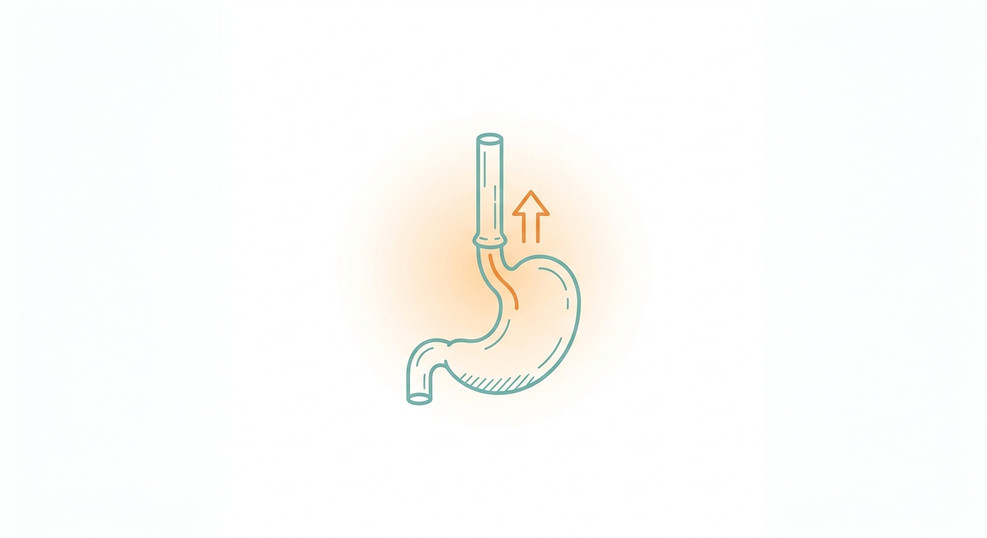 Gastroesophageal Reflux Disease (GERD) — 25-30% Korean Prevalence, Half with Nocturnal Symptoms