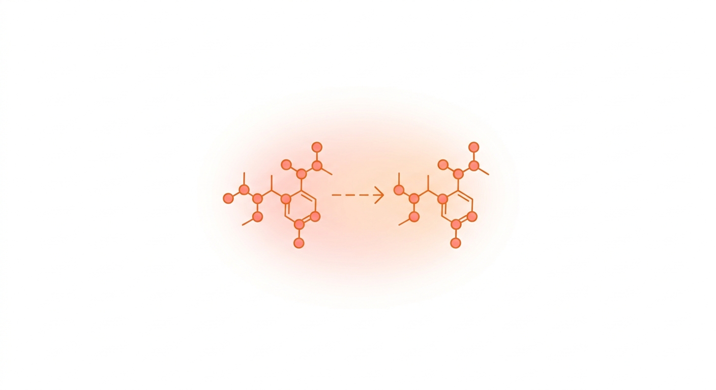 Ubiquinol vs. Ubiquinone: What Sets Them Apart, and Who Benefits Most