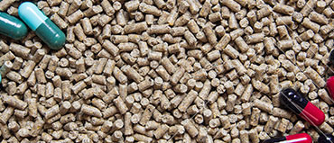 포스트바이오틱스, 프로바이오틱스 다음 세대가 온다