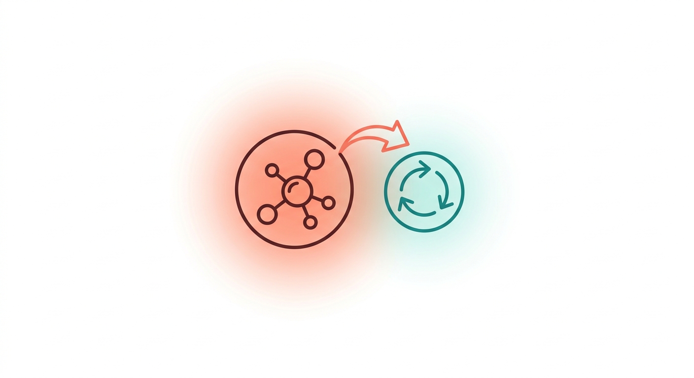 What Is mTOR? The Master Switch of Cell Growth and Aging