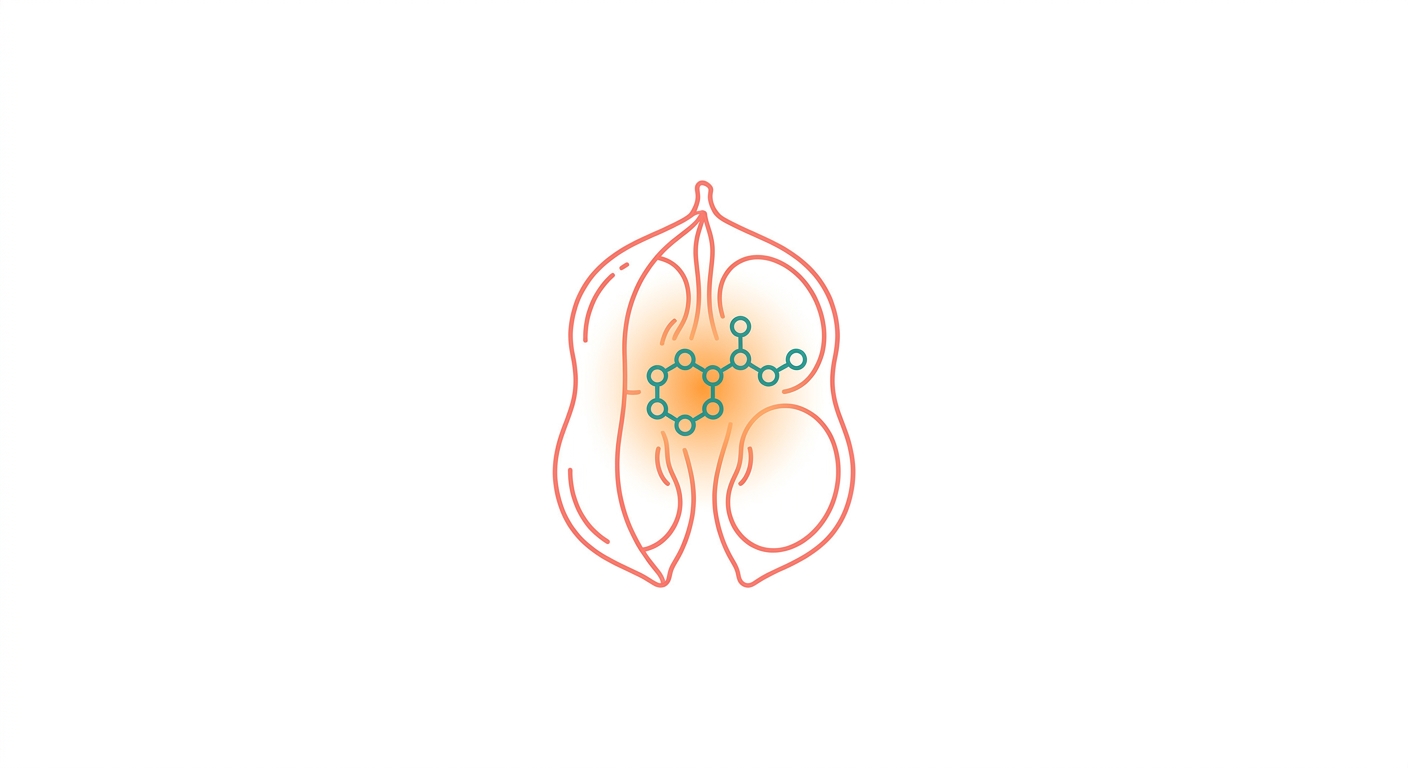 What Is S-Equol? The Hidden Metabolite Your Gut Makes From Soy