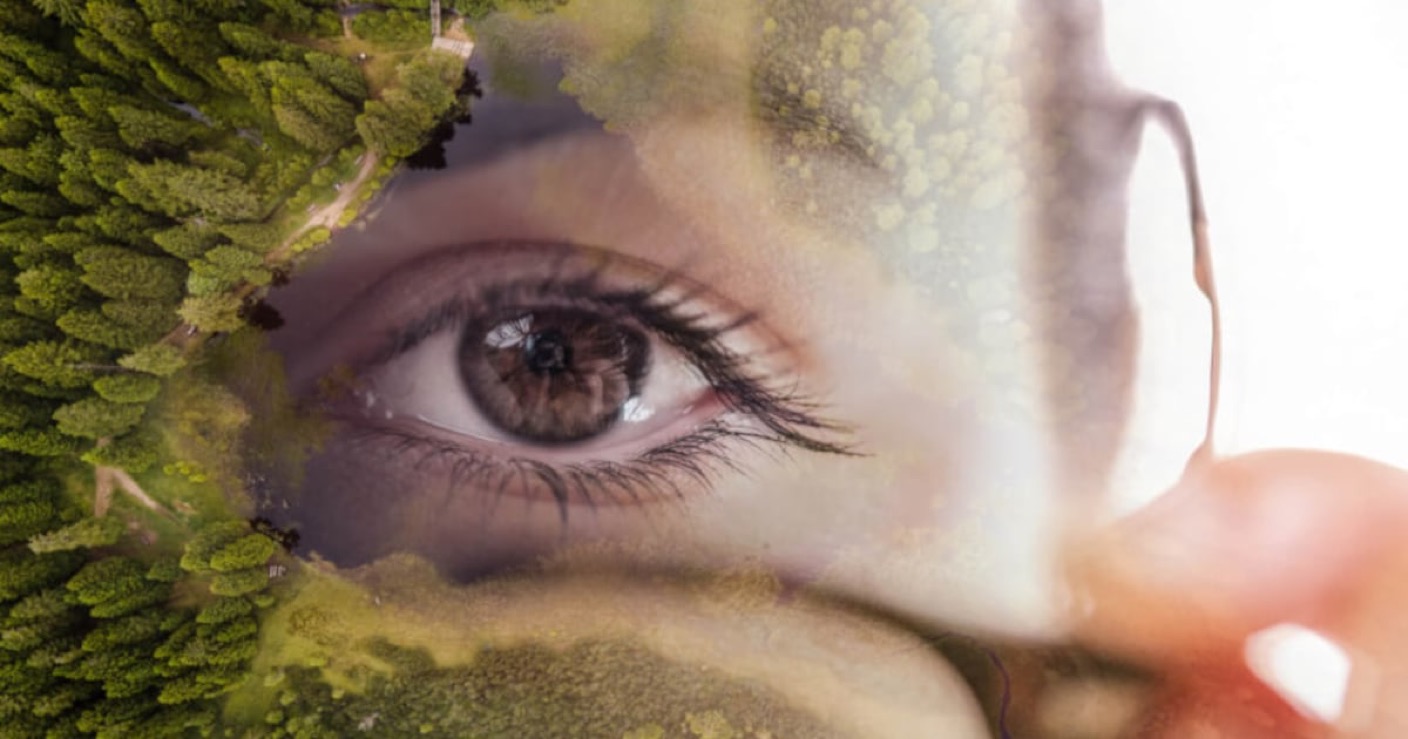 Olive Leaf Extract Shows Elastin-Preserving Effects in Post-Menopausal Skin